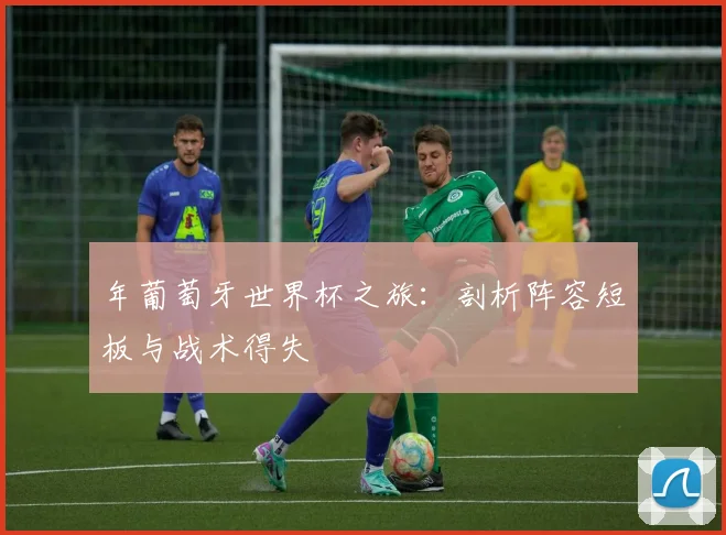 年葡萄牙世界杯之旅：剖析阵容短板与战术得失