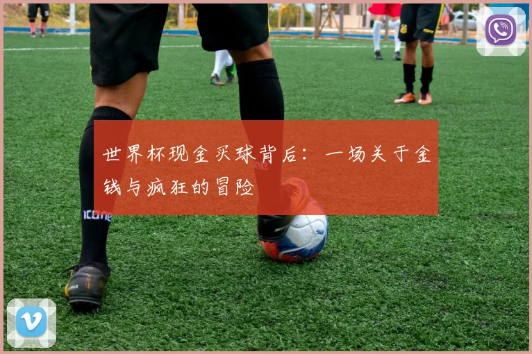 世界杯现金买球背后：一场关于金钱与疯狂的冒险