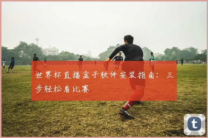 世界杯直播盒子软件安装指南：三步轻松看比赛
