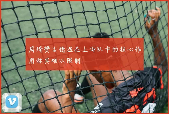 周琦赞古德温在上海队中的核心作用称其难以限制