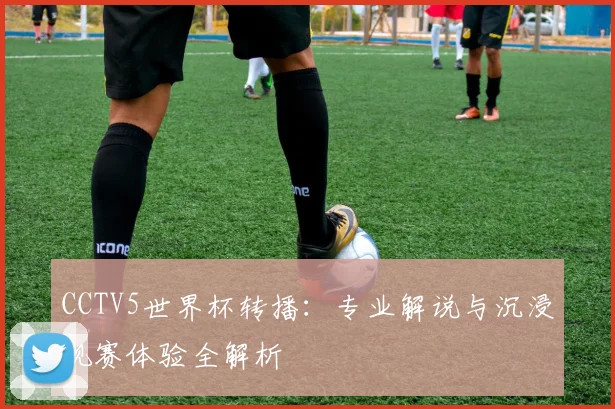 CCTV5世界杯转播：专业解说与沉浸观赛体验全解析