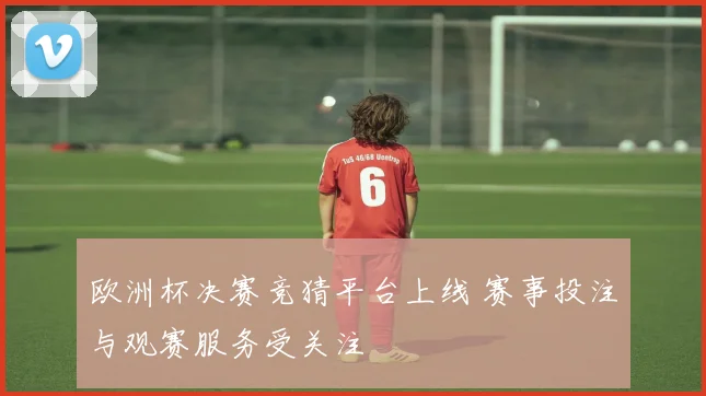 欧洲杯决赛竞猜平台上线 赛事投注与观赛服务受关注