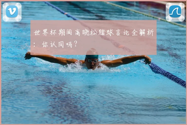 世界杯期间高晓松赌球言论全解析：你认同吗？